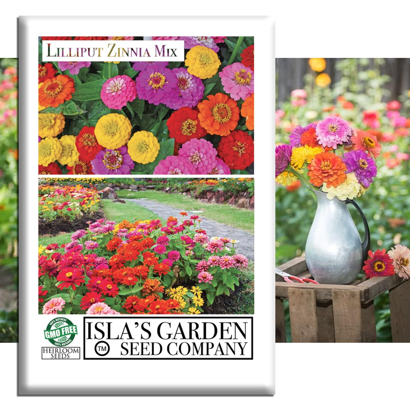 Amazon.com : Lilliput Zinnia Mix Flower Seeds (Zinnia elegans